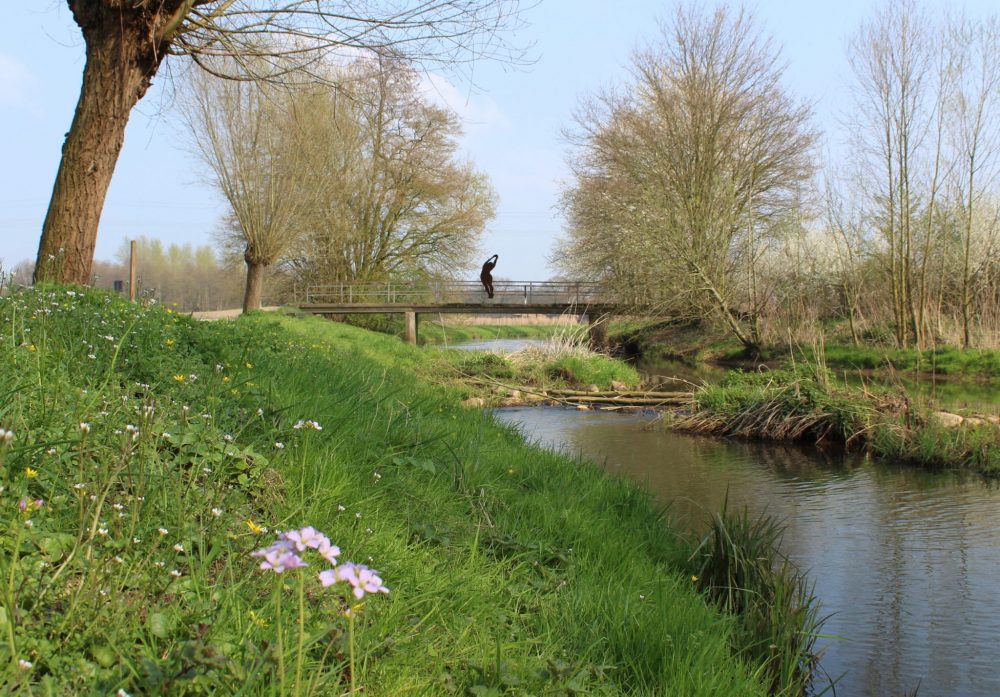 Ostbevern Touristik e.V. - Bever_Freischwimmer_Fruehling