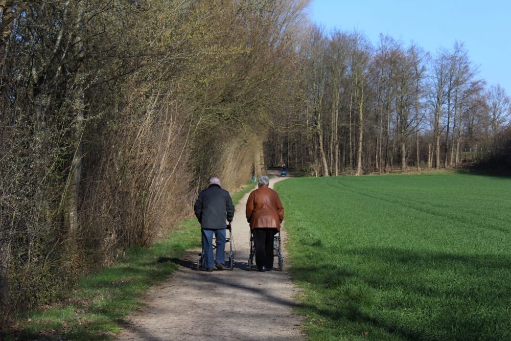 Ostbevern Touristik e.V. - Beveraue_Spaziergang