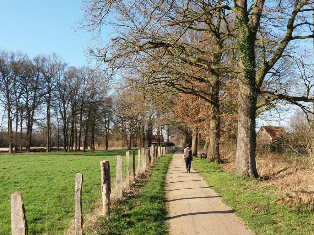 Ostbevern Touristik e.V. - Wandern Spiekerroute